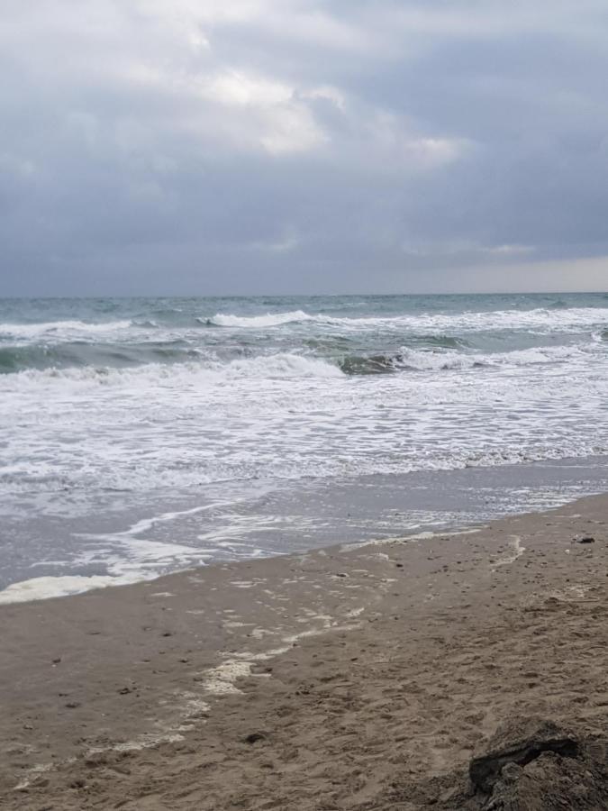 La Rose Des Sables, T2 A La Mer, Terrasse Et Garage Frontignan Εξωτερικό φωτογραφία