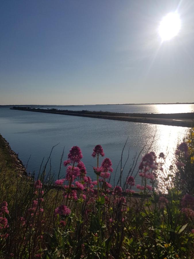La Rose Des Sables, T2 A La Mer, Terrasse Et Garage Frontignan Εξωτερικό φωτογραφία