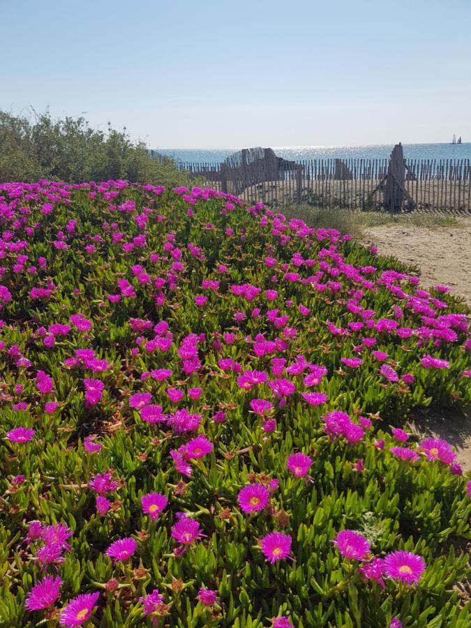 La Rose Des Sables, T2 A La Mer, Terrasse Et Garage Frontignan Εξωτερικό φωτογραφία