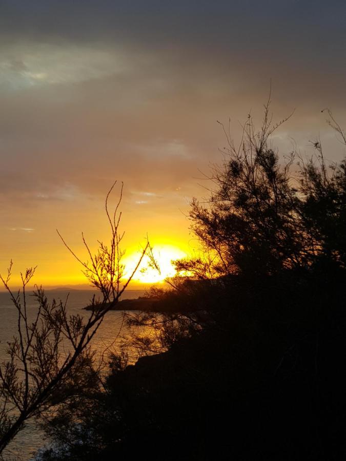 La Rose Des Sables, T2 A La Mer, Terrasse Et Garage Frontignan Εξωτερικό φωτογραφία