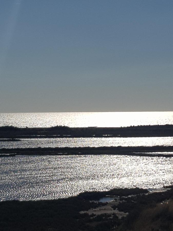La Rose Des Sables, T2 A La Mer, Terrasse Et Garage Frontignan Εξωτερικό φωτογραφία