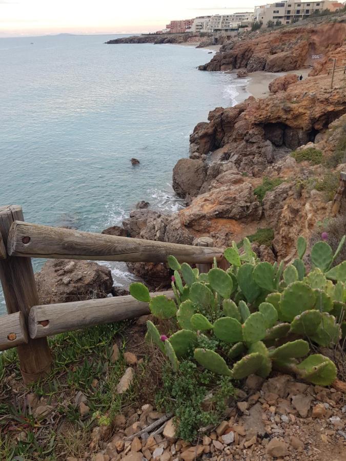 La Rose Des Sables, T2 A La Mer, Terrasse Et Garage Frontignan Εξωτερικό φωτογραφία